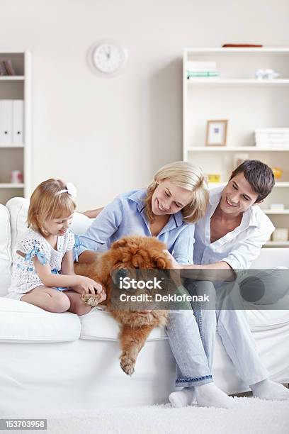 Familia Y Domésticos Mascota Foto de stock y más banco de imágenes de Familia - Familia, Cuarto de estar, Perro