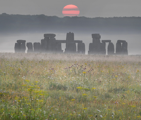 Summer  dawn at the ancient Stonehenge stone circle and  surrounding wildflower meadow