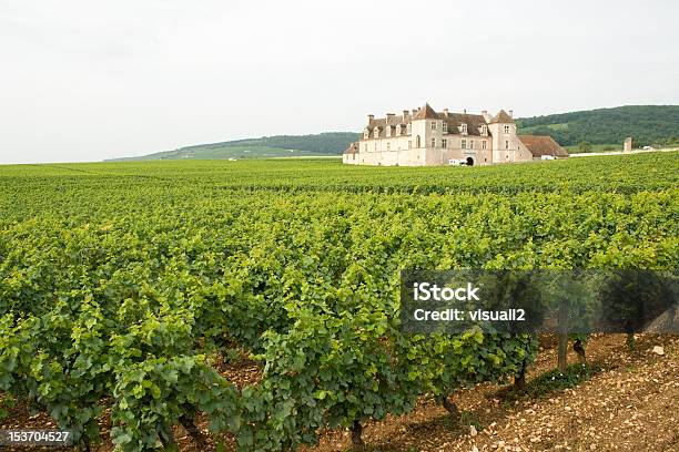 Winnica Clos De Vougeot Chateau Bourgogne Burgundia Francja - zdjęcia stockowe i więcej obrazów Clos de Vougeot