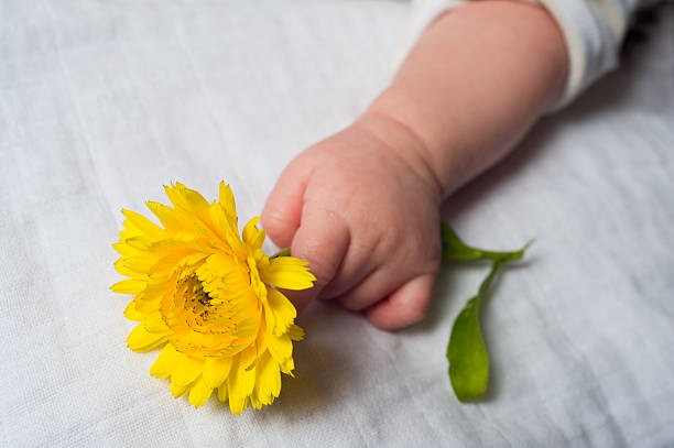 yellow flower in babys hand