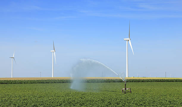 modern agricultura - commercial sprinkler system imagens e fotografias de stock