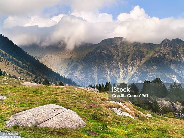 Pont Despagne Foto de stock y más banco de imágenes de Abeto - Abeto, Aire libre, Altos Pirineos