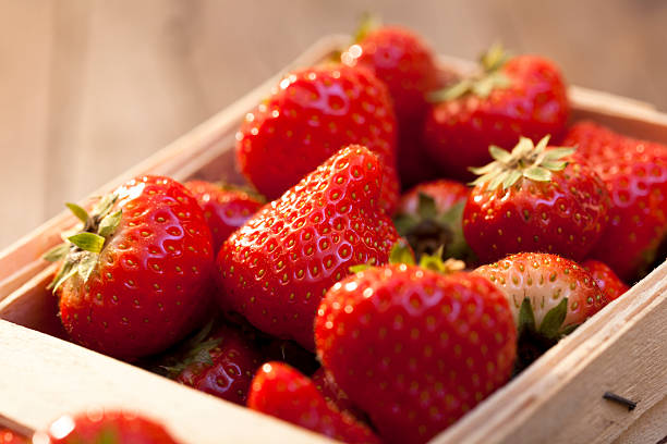 Basket of strawberries stock photo