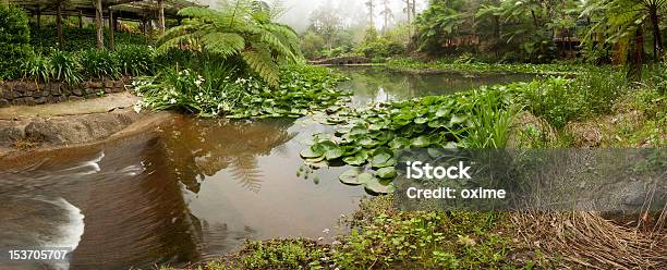 Photo libre de droit de Vue Panoramique Sur Le Jardin banque d'images et plus d'images libres de droit de Australie - Australie, Forêt pluviale, Lac