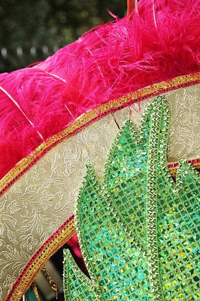istock Close of a carnival costume 153705831