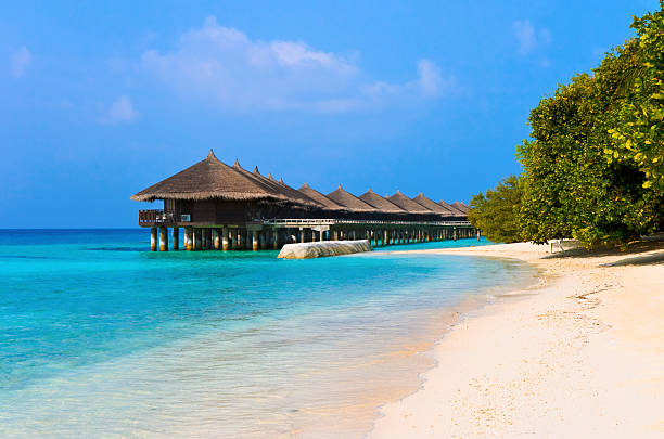 istock Water bungalows on a tropical island 153705861