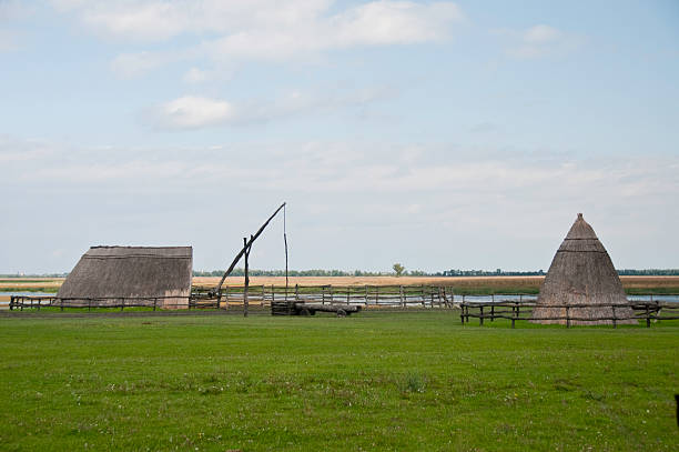 Farm Shelter on the Pusta A shelter on the hungarian pusta.It is for the workers looking after the animals.The roof is made of reeds from the lake. pusta stock pictures, royalty-free photos & images