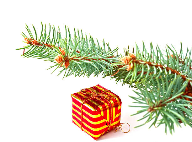 istock New Year's gift under the fir trees 153706542