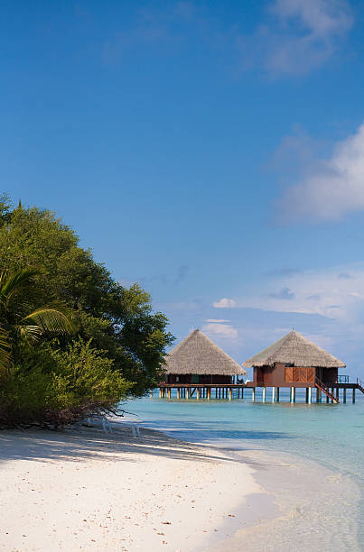 istock Waterside of tropical island 153707027