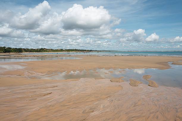 istock Calm sandy beach with shallow water 153707491