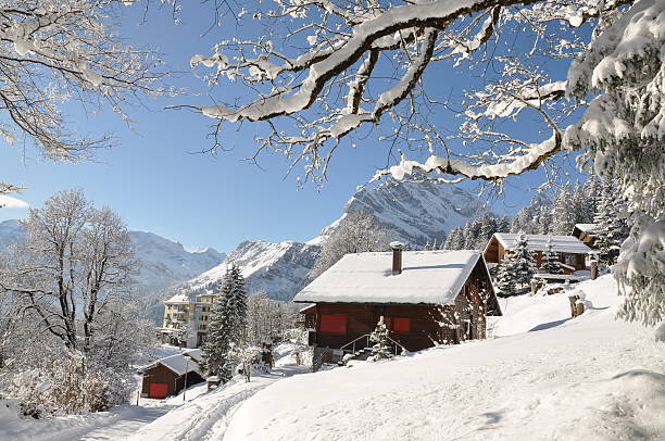 istock Landscape image of a snowy alpine hut 153708070