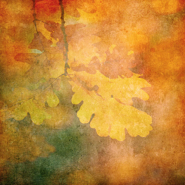 istock grunge background with autumn leaves 153708347