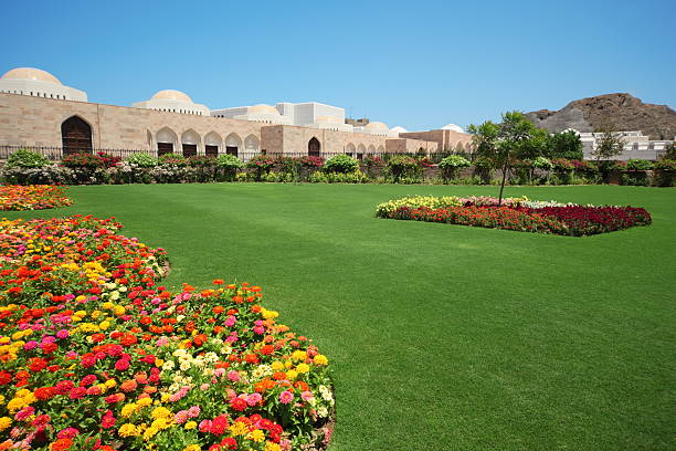 istock Flowers in garden inside Sultan's Palace, Oman. 153708840