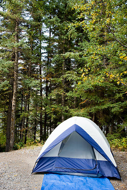 istock Tent in campsite 153709306
