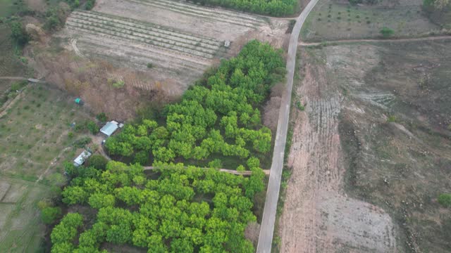 Flying above tree area on agriculture field