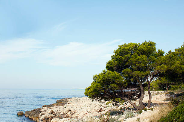 Croatian beach stock photo