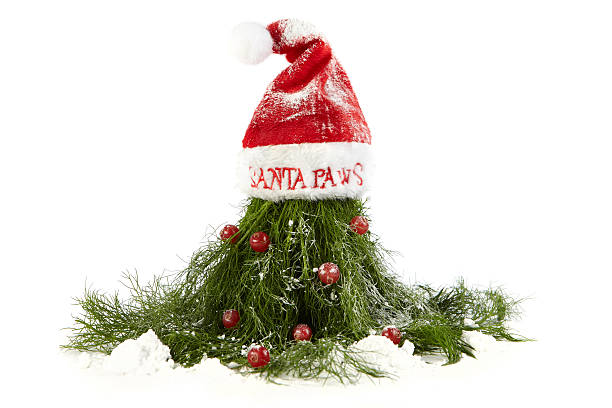 istock Humoral Christmas dill with red currant 153709446
