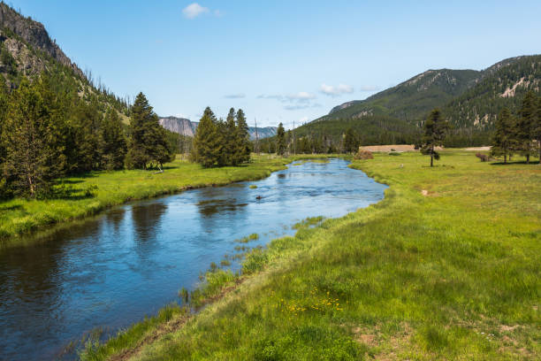 istock Beautiful river landscape in summer 1537095953