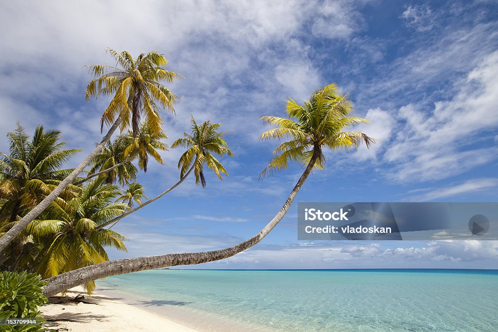 Palmen und der blue lagoon - Lizenzfrei Fidschi Stock-Foto