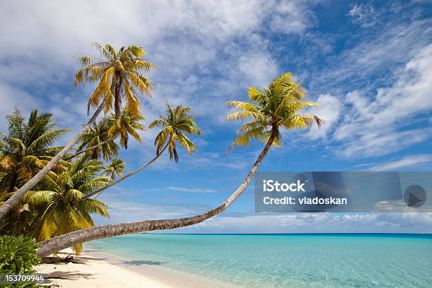 Palmen Und Der Blue Lagoon Stockfoto und mehr Bilder von Fidschi - Fidschi, Blau, Einsame Insel