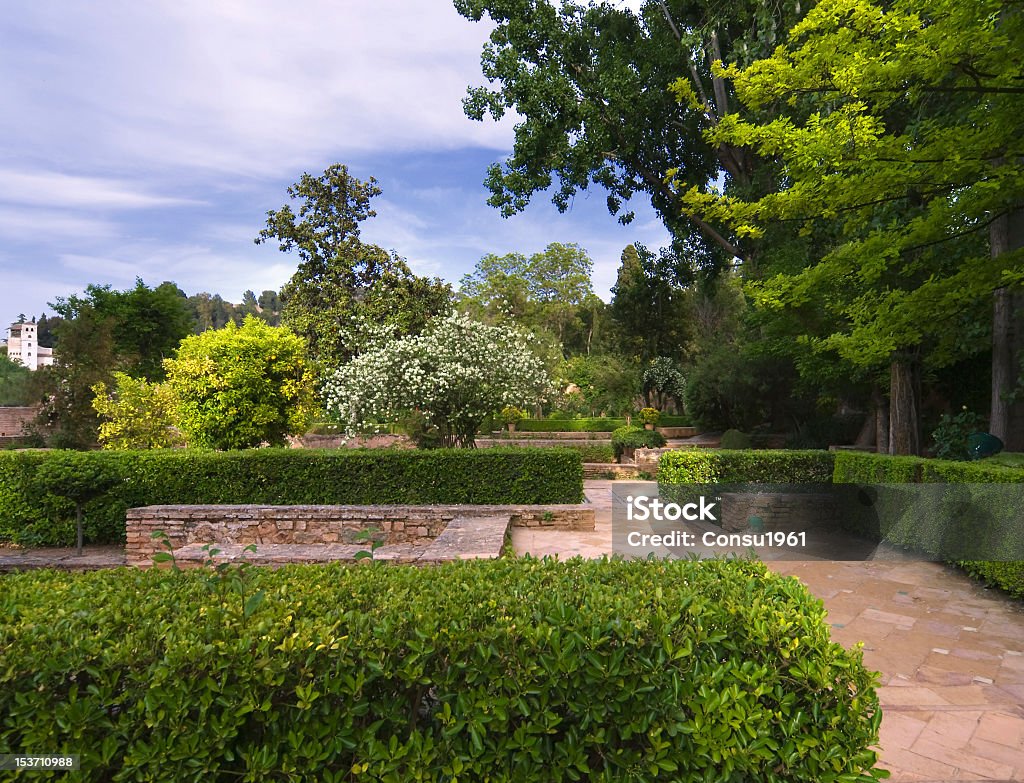 Jardines del Generalife - Foto de stock de Aire libre libre de derechos