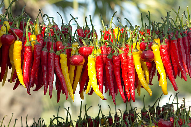 Pepper stock photo