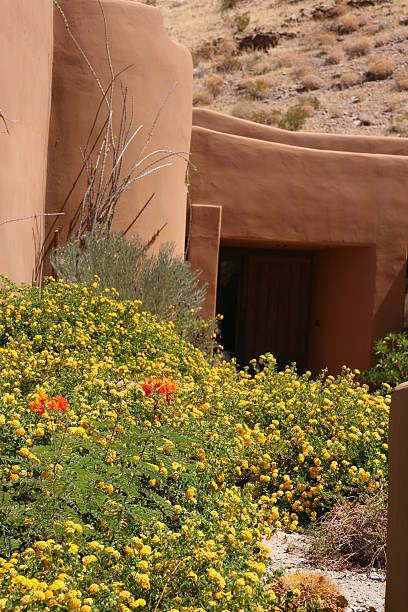 istock door in the dessert mountain 153711205