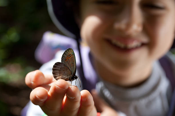 istock smiling kid hold brown butterfly on his hand 153711267