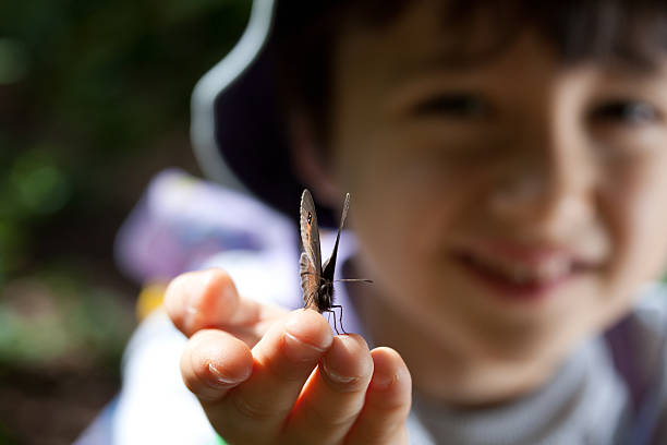 istock smiling kid hold brown butterfly on his hand 153711276