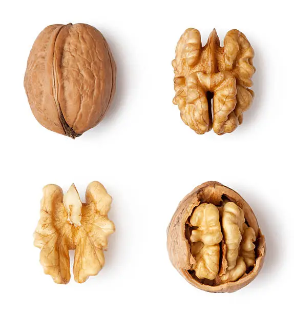 Photo of walnut