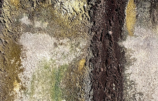 stone wall with a cracky surface and a yellow and green paint.
