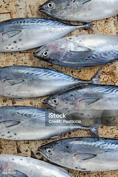 Atum Rabilho No Mercado De Peixe - Fotografias de stock e mais imagens de Albacora-azul - Albacora-azul, Atum - Animal, Comida