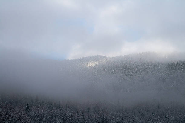 Montaña en niebla - foto de stock