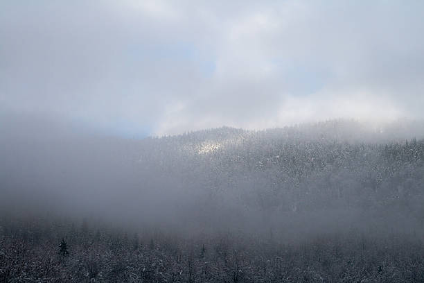 Montanha em névoa - foto de acervo