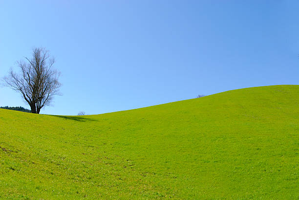 istock Umbria Landscapes 153712076