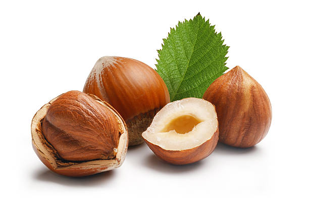 Hazelnuts Composition stock photo