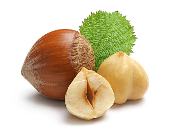 Hazelnuts Hazelnut on white backgroud hazelnut stock pictures, royalty-free photos & images