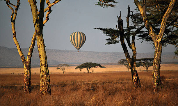 istock Balloon Over The Serengeti 153712406