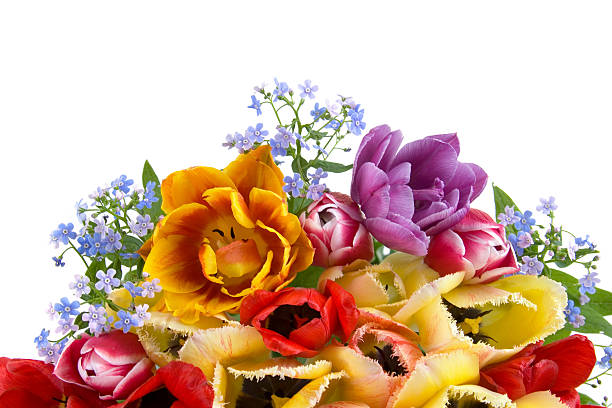 istock Bouquet of spring flowers 153712571