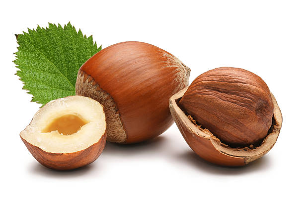Hazelnuts stock photo