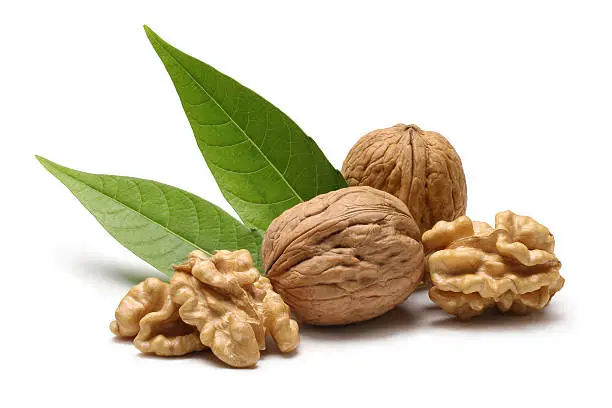 Photo of Walnuts with leaves isolated on white background