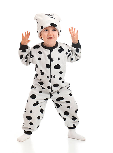 istock Little boy   dressed in a Dalmatian  suit. 153714454