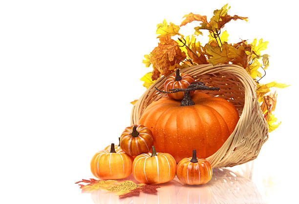 Pumpkins of varying sizes in wicker basket with fall leaves stock photo