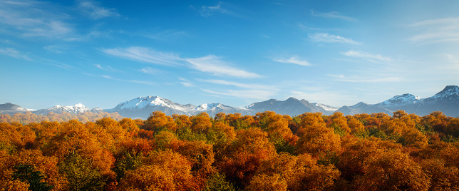Digitally generated idyllic and majestic autumn panoramic landscape with vivid colored forest and snow capped mountains in the background bathed in soft sunlight.

The scene was created in Autodesk® 3ds Max 2024 with V-Ray 6 and rendered with photorealistic shaders and lighting in Chaos® Vantage with some post-production added.
