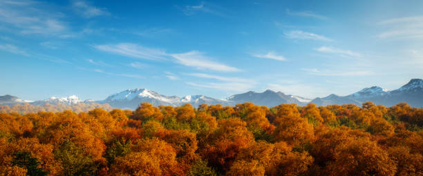 Idyllic and Relaxing Autumn Scenery stock photo