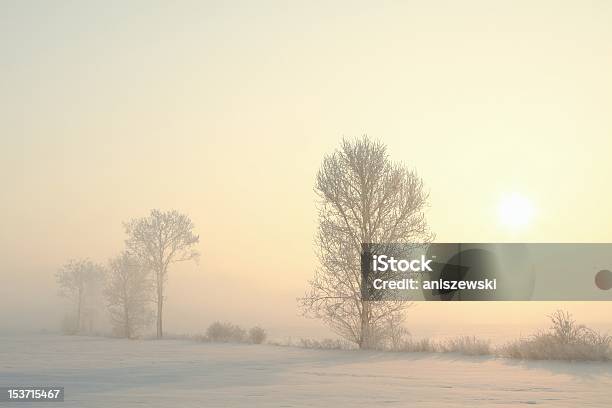 Zimowy Krajobraz Rano - zdjęcia stockowe i więcej obrazów Bajka - Bajka, Bez ludzi, Brzask