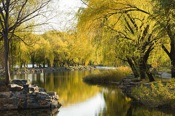 istock Garden in the Summer Palace during autumn 153715535