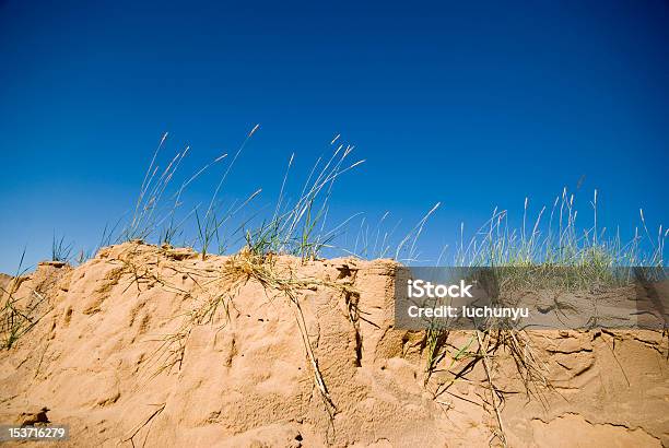 Photo libre de droit de Grassland La Désertification Dans Louest De La Chine banque d'images et plus d'images libres de droit de Bleu