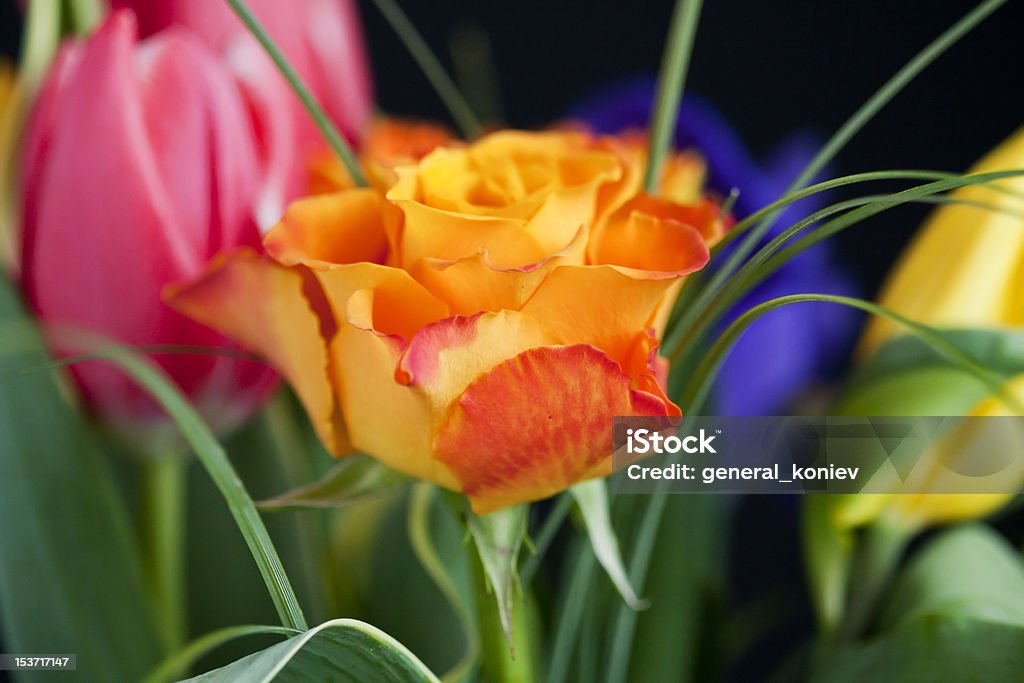 Bunte Blumen Blumenstrauß - Lizenzfrei Baumblüte Stock-Foto