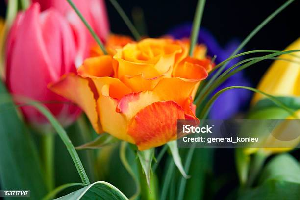 Bunte Blumen Blumenstrauß Stockfoto und mehr Bilder von Baumblüte - Baumblüte, Bildhintergrund, Blatt - Pflanzenbestandteile